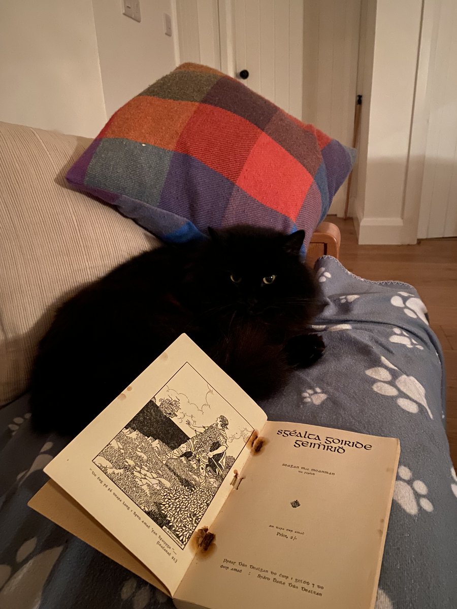 Ag feitheamh ar an ghaoth mhór a theacht le Seaghan Bán agus Pitch.😻 Cuideachta thar chuideachta. #StormEowyn  Waiting on the big storm with only the best of company!