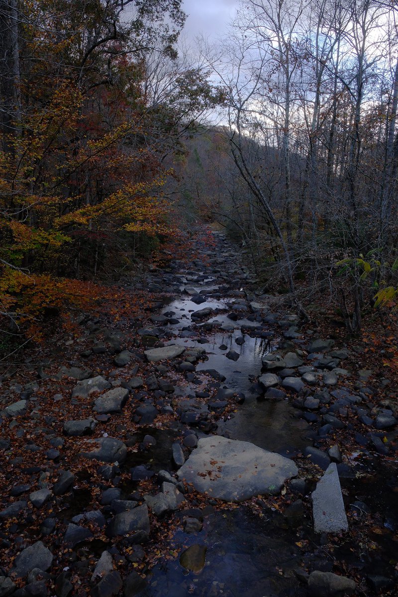 beyondtheimage2's tweet photo. Missing fall!!! https://t.co/0lcxHVDSHx