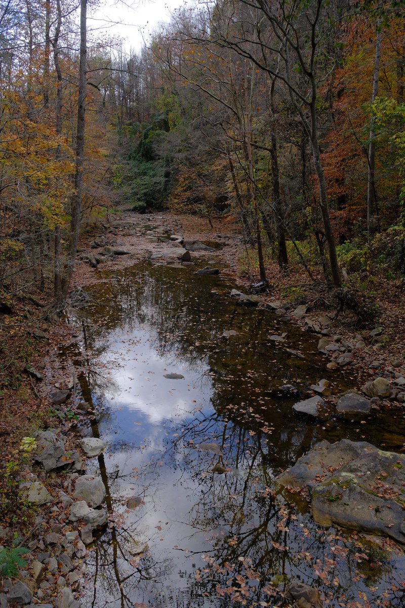 beyondtheimage2's tweet photo. Missing fall!!! https://t.co/0lcxHVDSHx