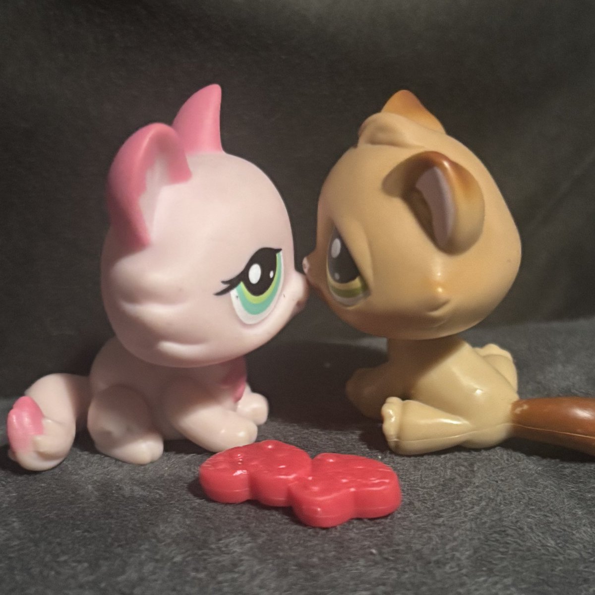 pocketlps's tweet photo. me and my bf !!! https://t.co/blZ4KZJ9U5