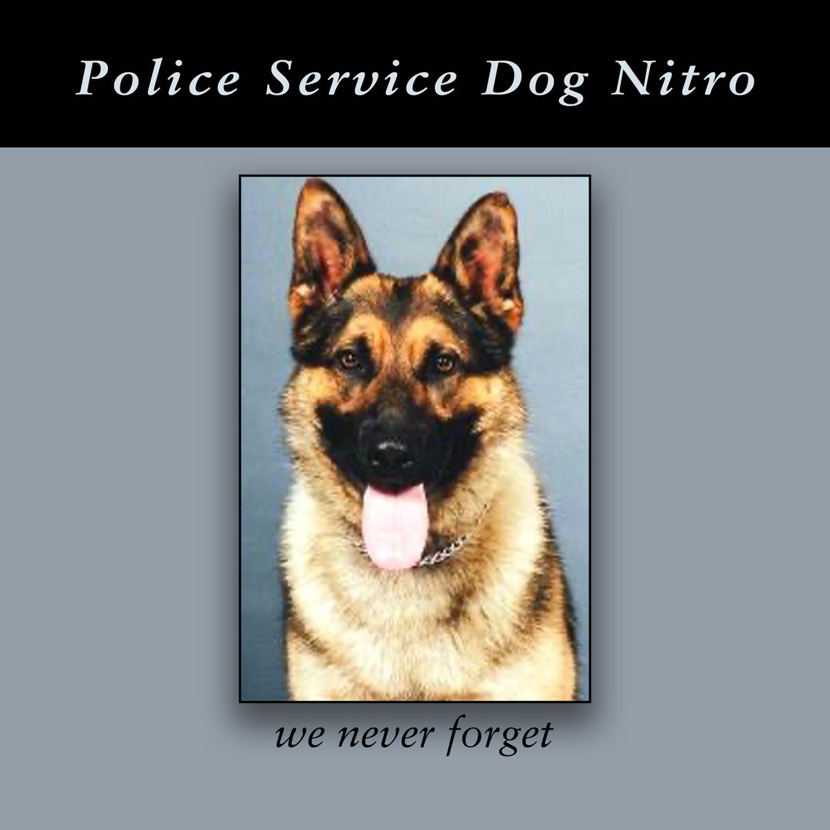 AdamPalmerRCMP's tweet photo. We #NeverForget #VPD Police Service Dog 'Nitro' - killed 19 yrs ago today while chasing a suspect from a stolen car with his partner, Cst. Howard Rutter - the suspect jumped on a train, Nitro grabbed the sus, but was pulled under the moving train @VPDCanine #K9Hero @VancouverPD https://t.co/11Jyy2gIbN