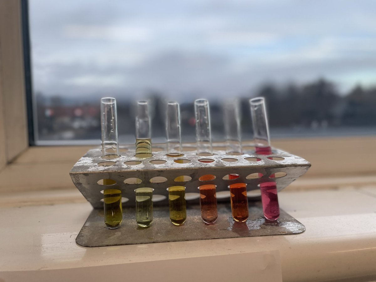 St Maurice's Science tweet media