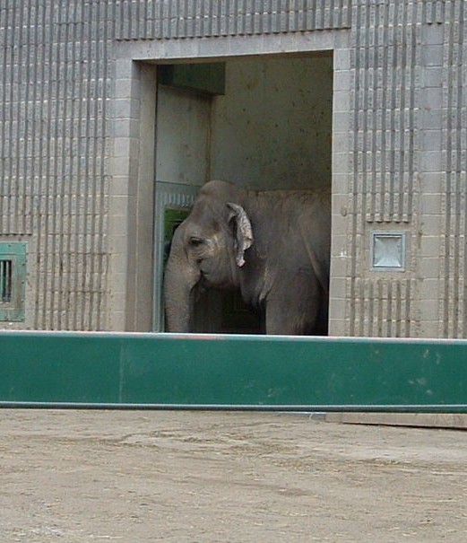 <a href="/YvonneHooper20/">Yvonne Hooper</a> <a href="/welovelucyyeg/">Take Action For Lucy</a> <a href="/AmarjeetSohiYEG/">Amarjeet Sohi</a> <a href="/AndrewKnack/">Andrew Knack</a> <a href="/edmonton_anne/">Anne Stevenson</a> How could anyone hold an elephant in solitary confinement in Northern Canada, when they have a choice to move Lucy in a more, humane environment &amp; climate? Isn't 48 years long enough? Lucy deserves nothing less then Sanctuary. #FreeLucy