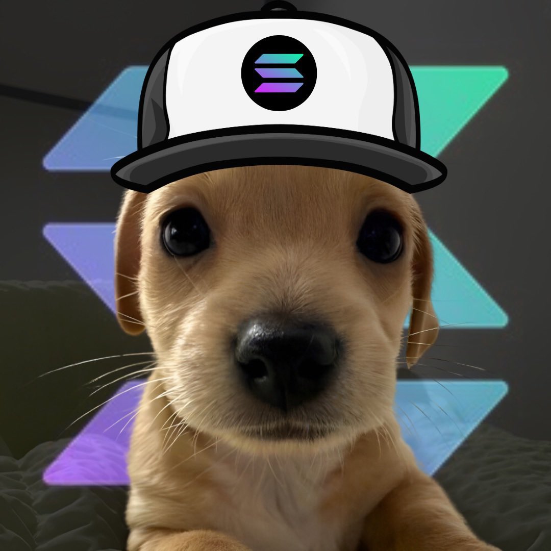 tugcot1's tweet photo. $BILLY is the cutest dog on Solana 
🚀🚀🚀🚀🚀🚀
Aku19AneTH1RY6ymBmhAxw3hRHFVvkCW65ZXMRCepump https://t.co/4GPHZfAt7W