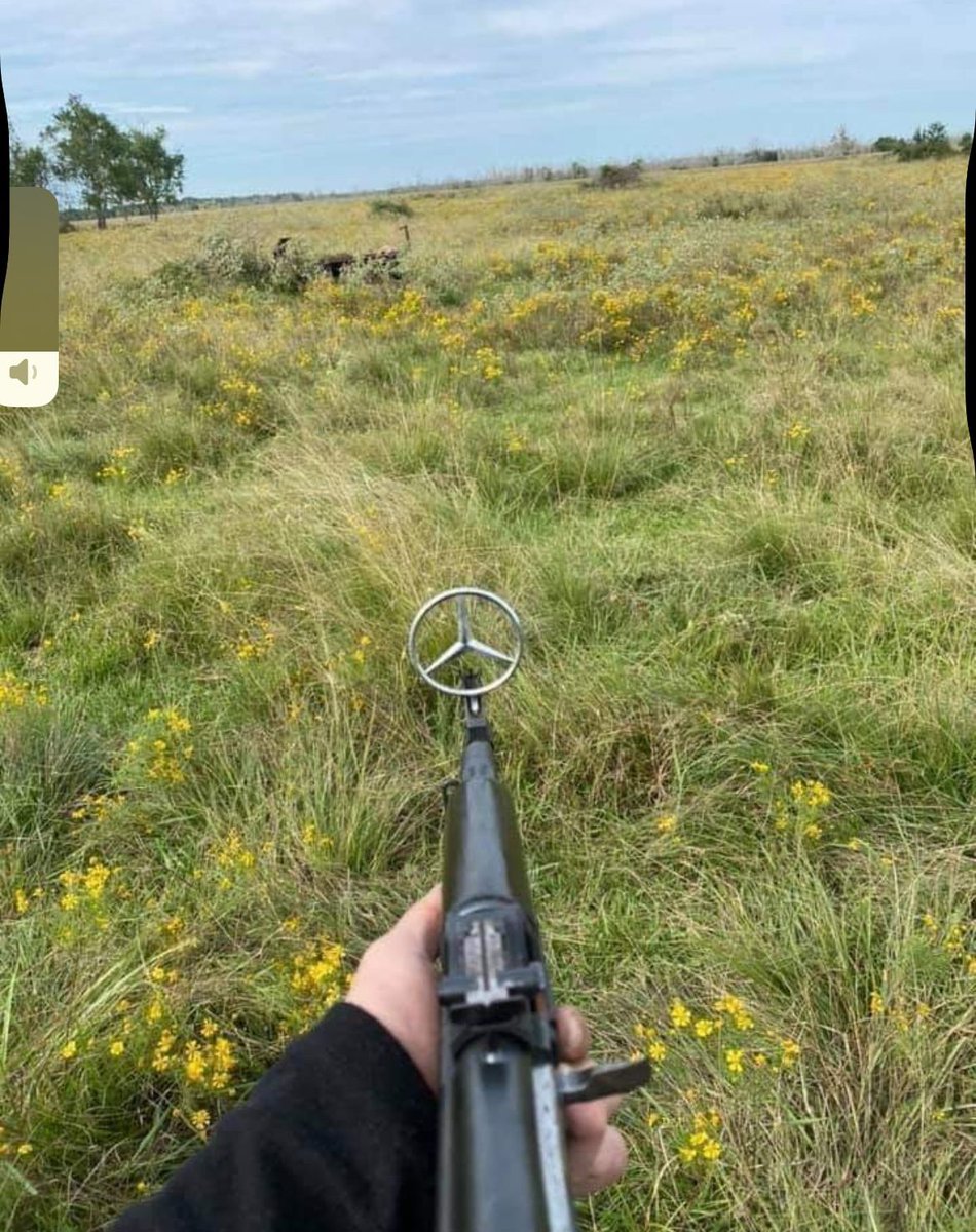 Cursed Gun Images (@cursedgunimages) on Twitter photo 