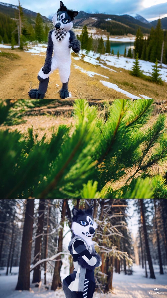 figment_fox's tweet photo. Hey everyone, Figment here 🦊🤍

Actively returning to twitter! It’s been ages, but I’m ready and excited to dive in again.

Going to be catching up with friends, posting more stuff, and being silly of course!

✨Click the photos for more ✨

Also on🦋➪ @/figmentfox.bsky.social https://t.co/mae25NNyGy
