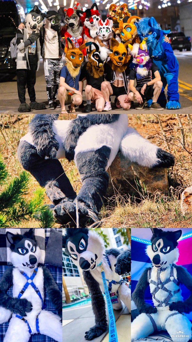 Hey everyone, Figment here 🦊🤍

Actively returning to twitter! It’s been ages, but I’m ready and excited to dive in again.

Going to be catching up with friends, posting more stuff, and being silly of course!

✨Click the photos for more ✨

Also on🦋➪ @/figmentfox.bsky.social