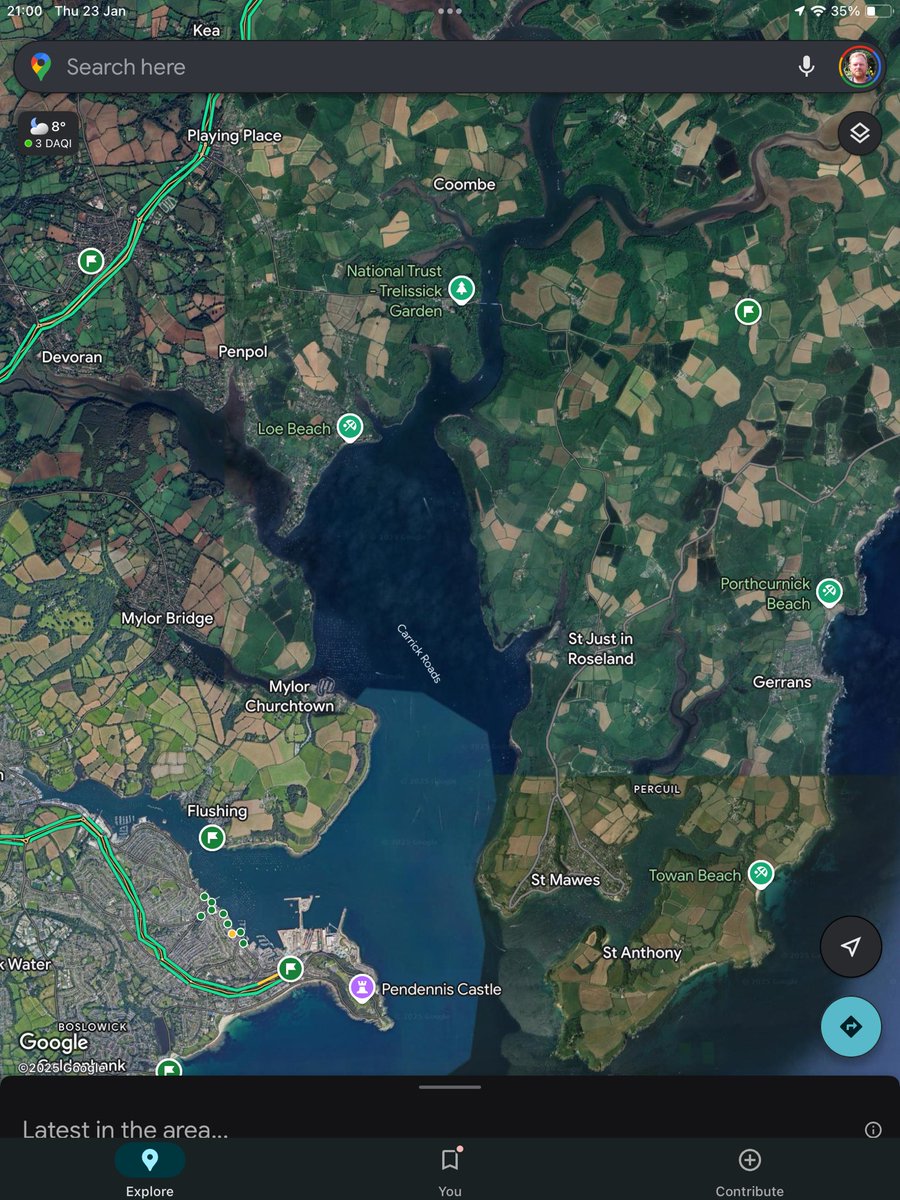 Resting Avialot ⚓️ tweet media