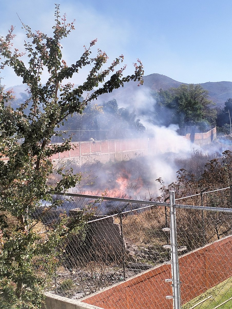 LuzeNava's tweet photo. @GobTlajomulco necesitamos ayuda con este predio, todos los días vienen a prender fuego y quemar basura, hemos llamado a bomberos y protección civil y nunca vienen!!!  Tenemos 2 años viviendo así, está en calle durazno esquina pirul, en la colonia ciénega, en San Agustin https://t.co/rJ6W4GwBfG
