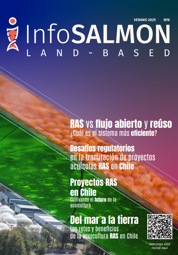 CentroIncar2's tweet photo. La edición Verano 2025 de @InfoSALMON_cl incluye el estudio "Principales patologías asociadas al cultivo de salmónidos en la etapa de agua dulce, una revisión", a cargo del Académico de @uandresbello  e Investigador Principal INCAR, Dr. Ruben Avendaño
https://t.co/caEnmARCkL https://t.co/Yvm3W9dzYg