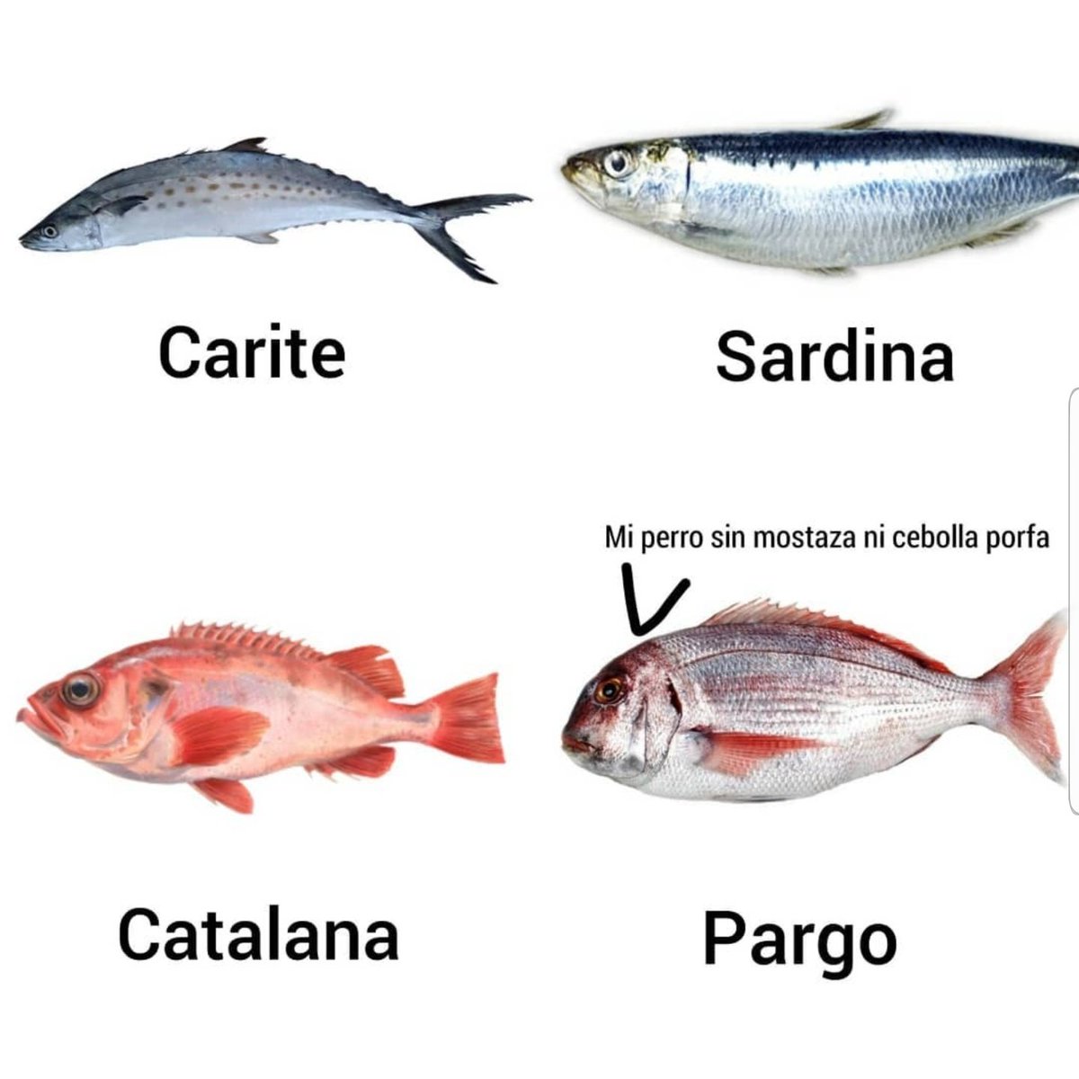 vzla_apesta's tweet photo. https://t.co/oPxfVOLp6h