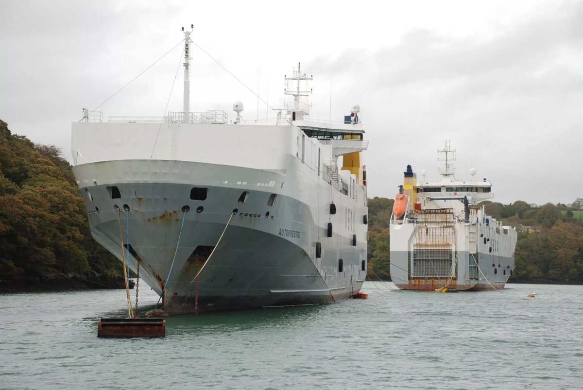 Resting Avialot ⚓️ tweet media