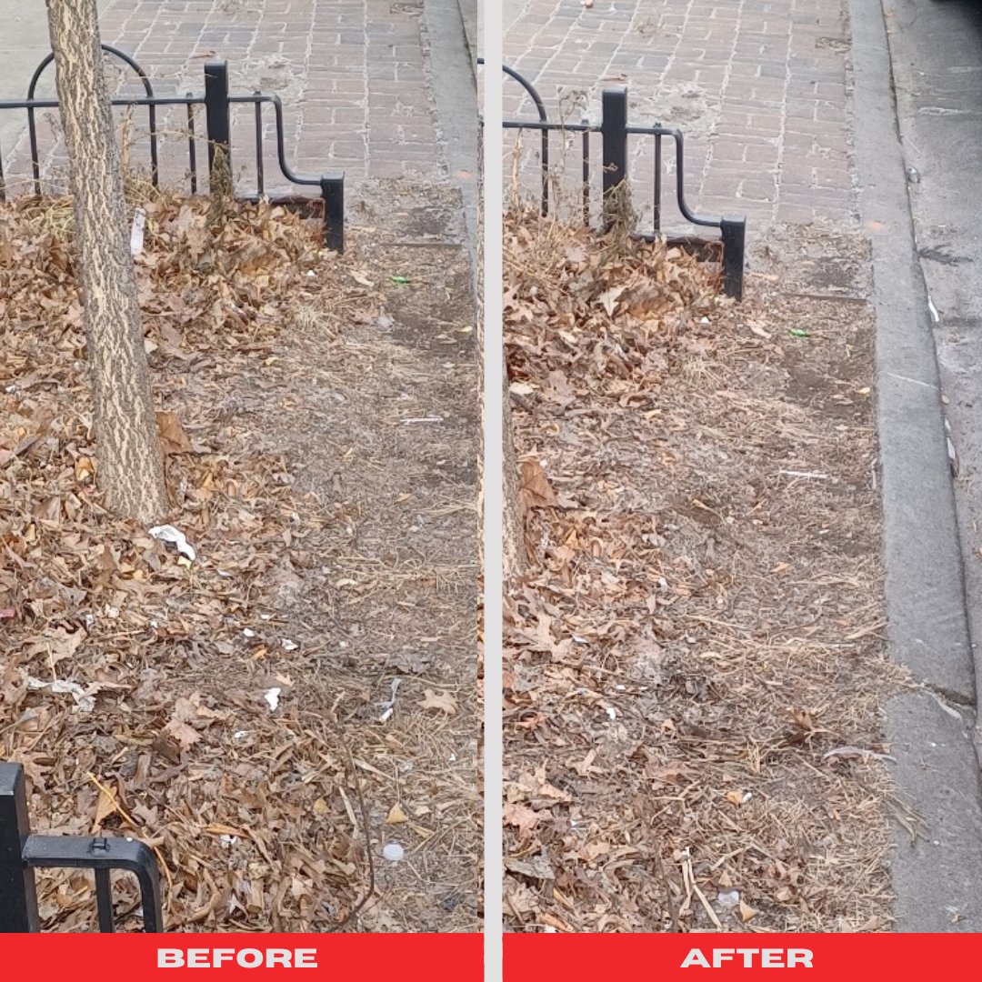 aceprogramsny's tweet photo. Shoutout to our amazing partner, @CMRitaJoseph, for helping us make a difference in our #Brooklyn community! We’re keeping our neighborhoods clean and vibrant while creating opportunities for those overcoming homelessness. #CommunityPartnership #CleanNYC #parkside #flatbush https://t.co/EQhk0v3OD3