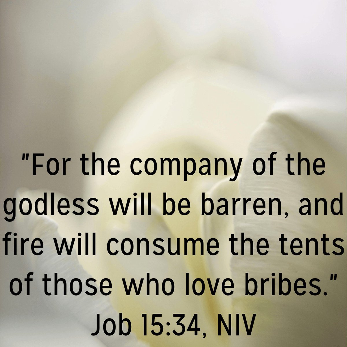 AdesolaAdeyemi1's tweet photo. Do not love bribes in any form! It puts your 'tent' (home, children, and loved ones) in danger. https://t.co/OsGCojCpW1