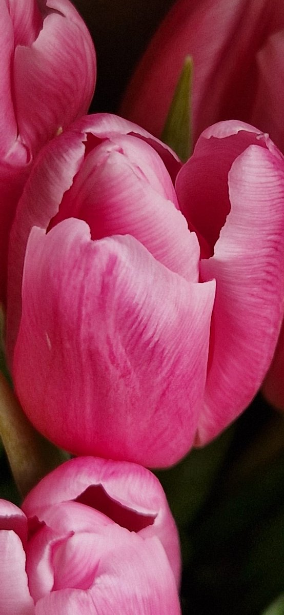 Con mis mejores deseos, buenas noches y feliz descanso💋💋💋🌛🌛🌛