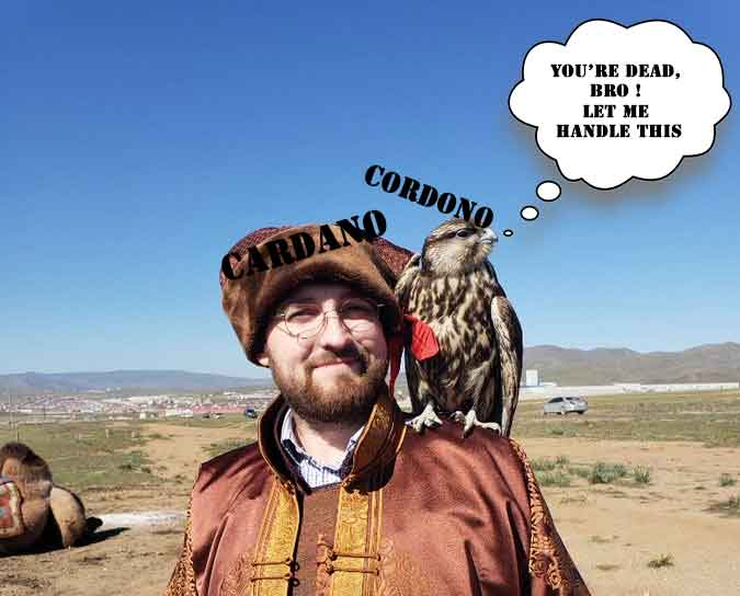 Cordono tweet media