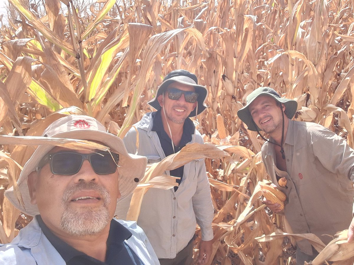IngHCChaves's tweet photo. Gran gira sur E. Ríos. Ensayos Comerciales @lgsemillas con nuestro Lider @juandreiling 💪👏
🚩Gualeguay/Larroque/Gualeguaychu
💣 #LG30849VIP3
🎥LX046vip3👍año dificil potencial y estabilidad
😉 +corto que referencia SRM566
@LeonelCarignano
@mauriciofugante
@DiegoAlonso1980 https://t.co/jTLUFMFj0A