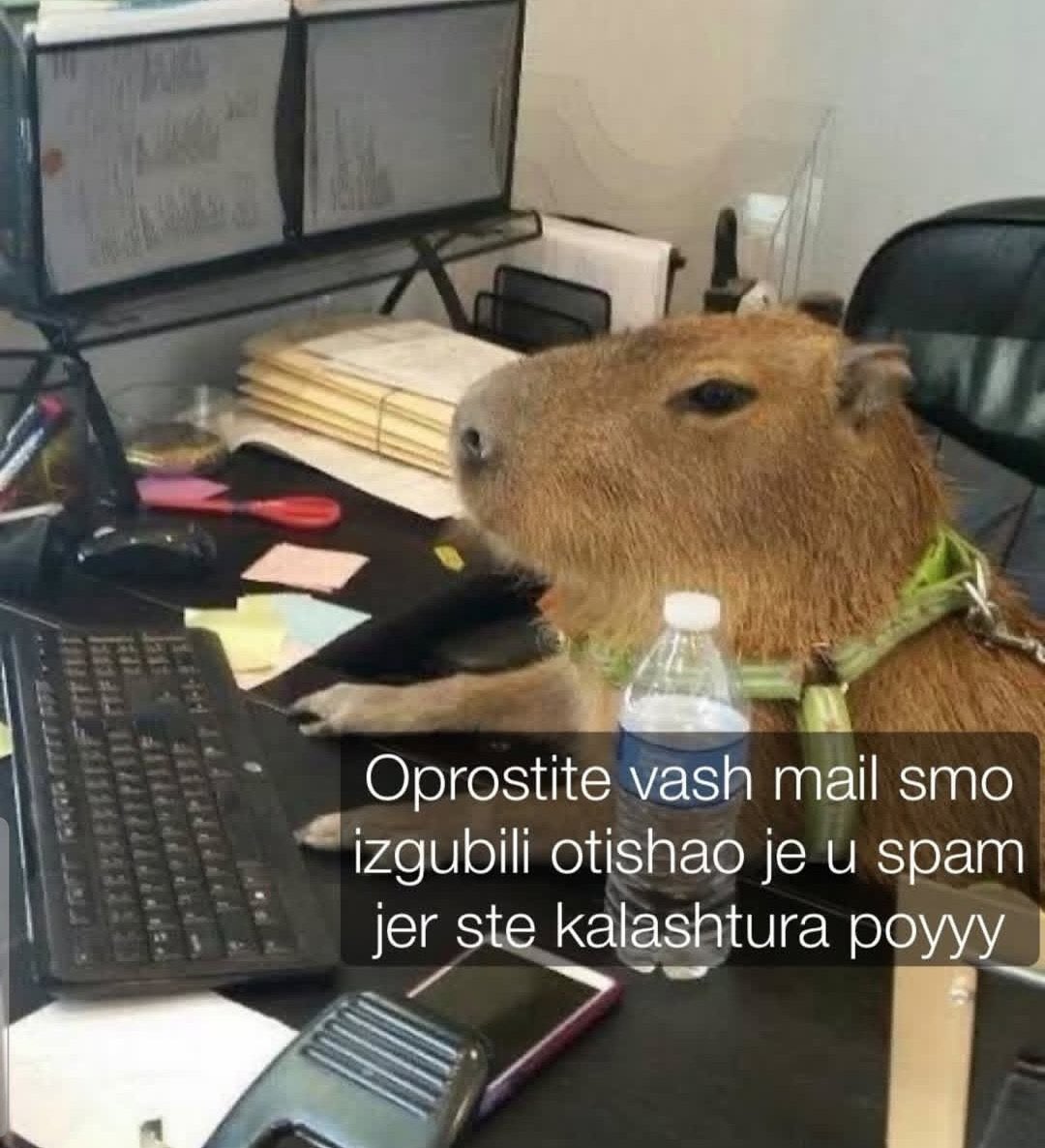 pze kad je karleuša slala prijavu