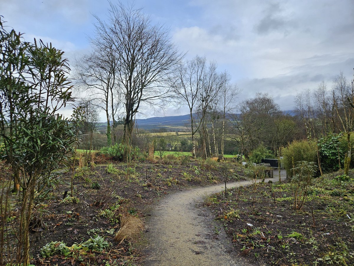 English Galanthophiles visited a very special garden in Blessington this afternoon...
Thank you very much, Jimi.
#snowdrops