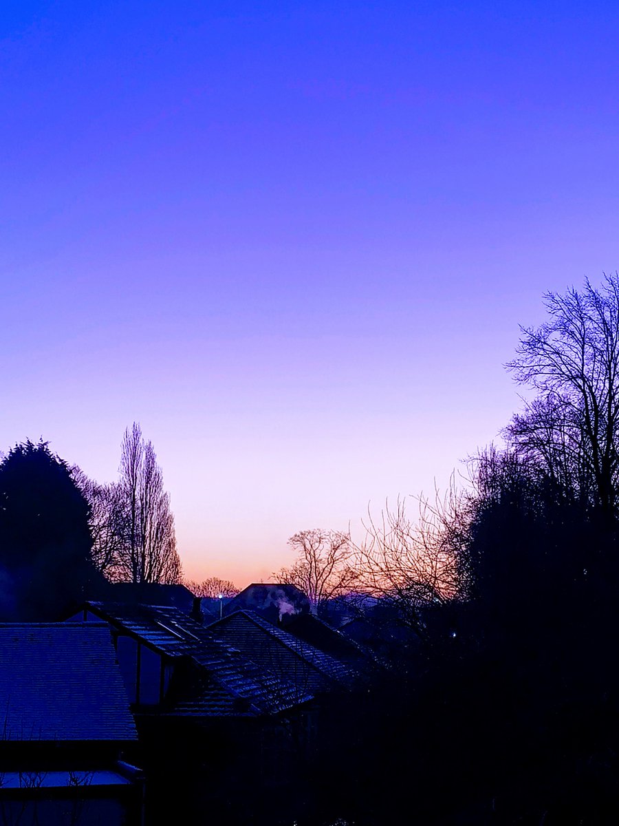 Antoney Calvert tweet media