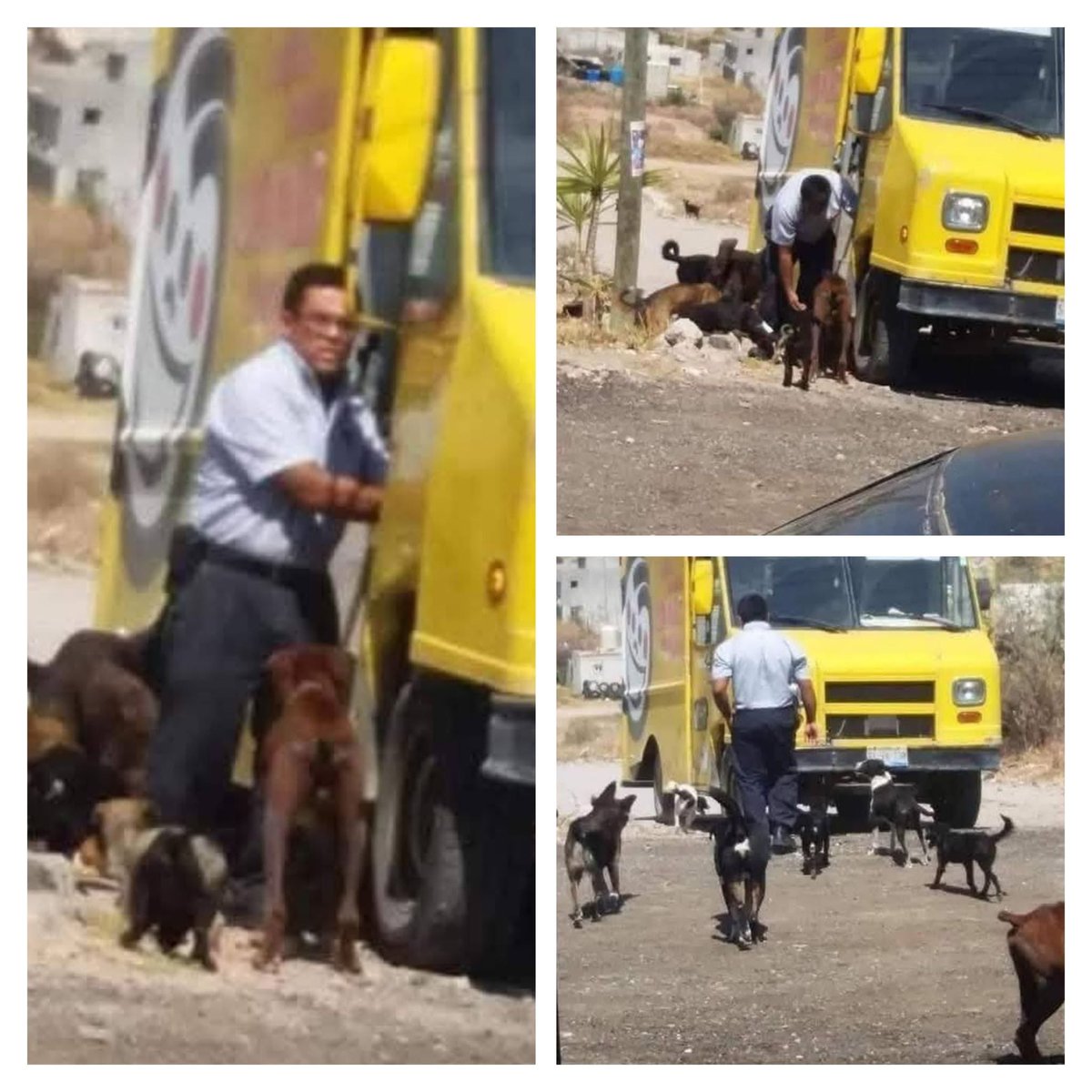 mayumiguillen's tweet image. Hagamos viral esto por favor,este señor llega a una tienda a repartir sabritas cada que viene, los perros de la calle lo saludan con mucho gusto, ya que les da de comer a todos los perritos de la calle... les da croquetas,pan,tortas. 
Dios lo bendiga siempre ♥️🙏🏼🐶🙏🏼♥️