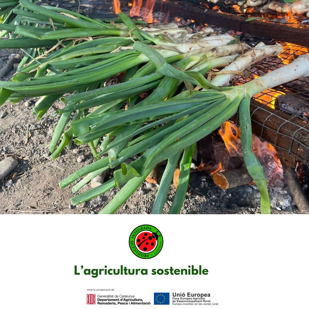 producciointegrada tweet media