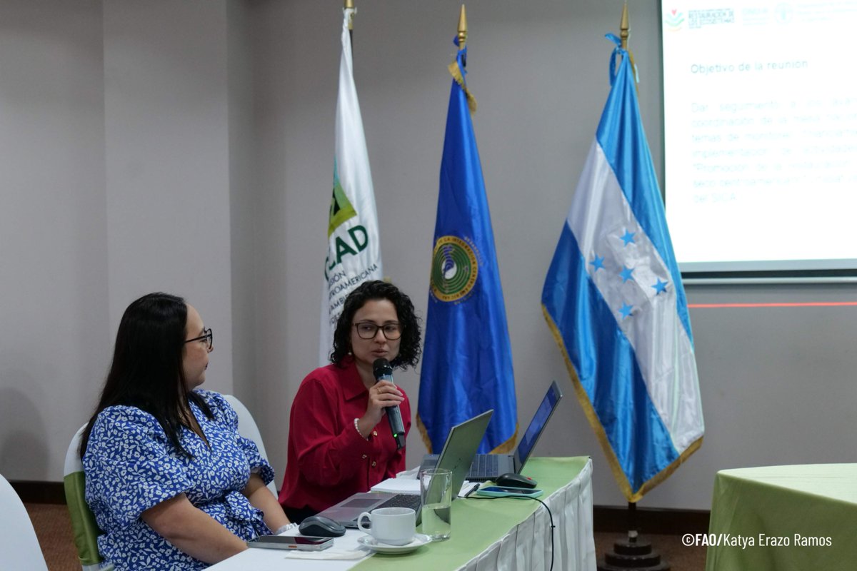 FAOHonduras's tweet photo. 📍Tegucigalpa
🧵Se fortalece la coordinación de mesa nacional #AFOLU que impulsa el monitoreo, financiamiento y restauración de ecosistemas. Se presentaron avances y socializó el proyecto "Promoción de la restauración de ecosistemas productivos en el #CorredorSecoCentroamericano" https://t.co/v9yACmDMNU