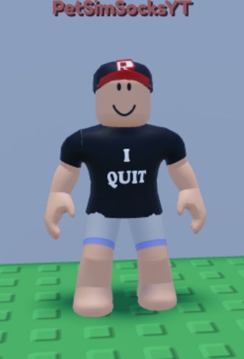 PetSimSocks tweet media