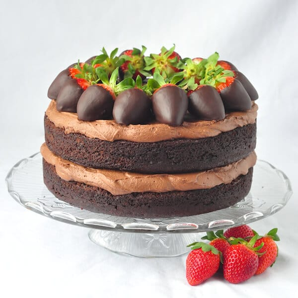 Chocolate Truffle Cream Cake - with a gluten free option. bit.ly/42iRdOl