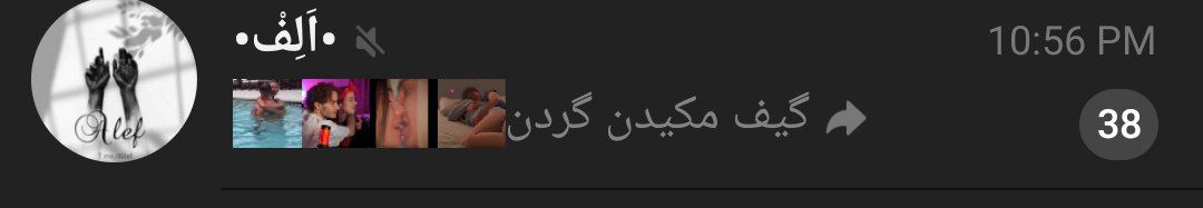 مائده tweet media