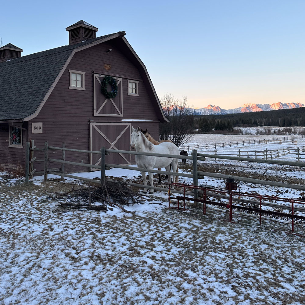 fRI Research tweet media