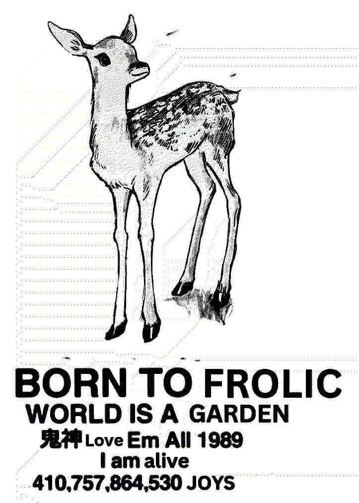 Deer in Places they Shouldn't Be (@deershouldnt) on Twitter photo 