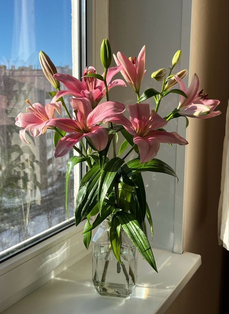 XLIX_409's tweet photo. lilies https://t.co/fFzGLnJ70d