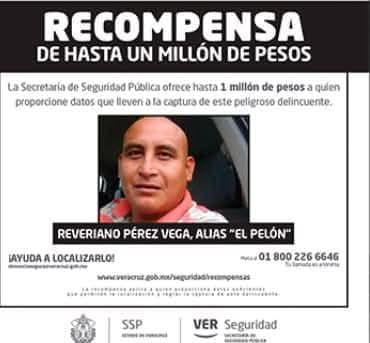 rodrigo_dector's tweet photo. #ULTIMAHORA detiene a Reveriano Pérez Vega, líder de la banda de Los Pelones, y cacique del municipio rural de #Coxquihui. Buscaba ser alcalde por Morena; Cuitláhuac García Jiménez no lo detuvo en sus seis años, pese a que había hasta una recompensa por él https://t.co/Abo2LKpwm1