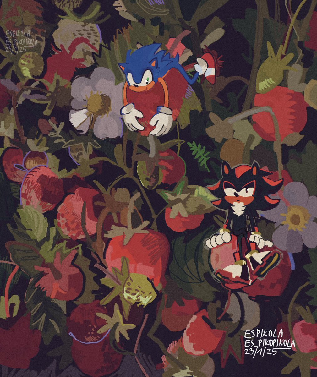 good soup🐟 tweet media