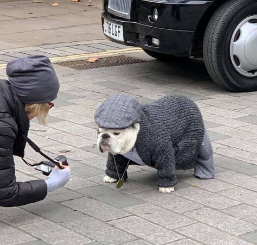 “Peaky Blinders: The Movie”  🐶🎩