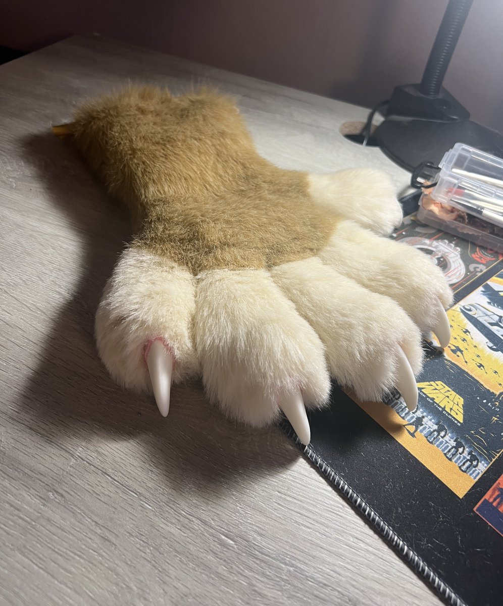 Late night pattern testing for a lion!