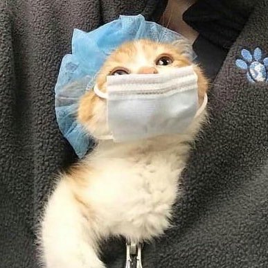 doctor’s little helper 🥹