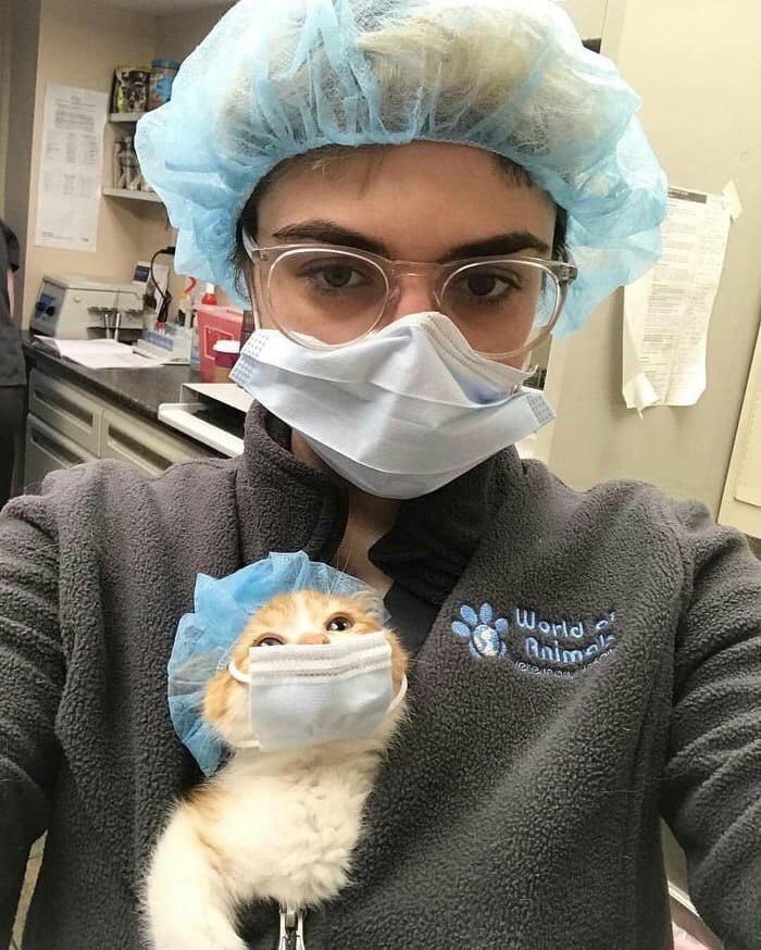 PunchingCat's tweet photo. doctor’s little helper 🥹 https://t.co/ezW78URmQh