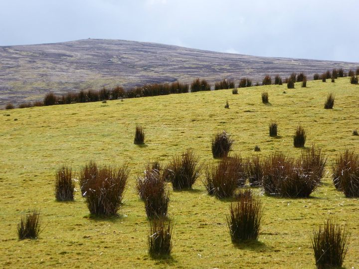 Heavy rain and soil erosion in the North Pennines has revealed evidence of an early Punk burial site, where the bodies were buried vertically, in accord with tradition.