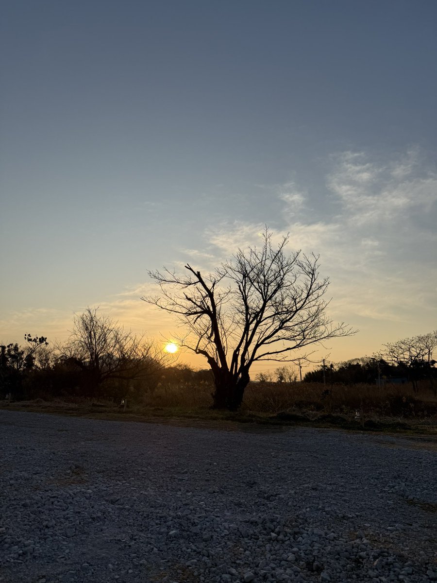 bigdipper's tweet photo. おはよう世界

#slowcamp #おはよう https://t.co/iWSSkX1cEd