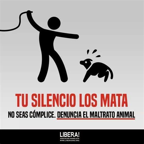 AlmasDeLaCalle's tweet photo. Cambia. Rescata!🐾🐾🙏🏻 https://t.co/tAlzYEKppI