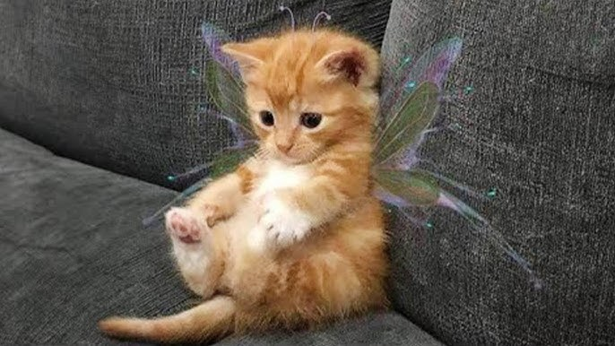 Makiko 🪁 tweet media