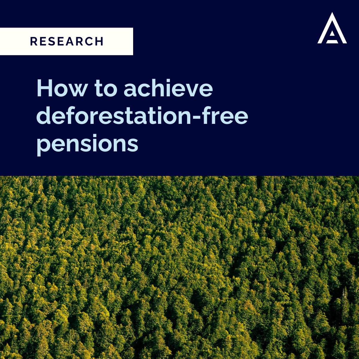 Altiorem tweet media