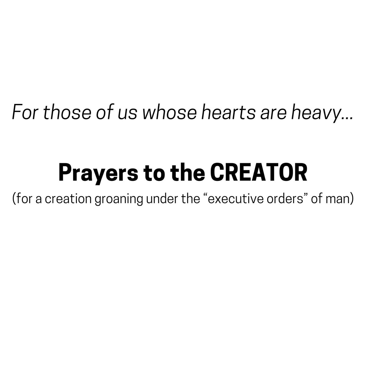 Caleb Cray Haynes tweet media