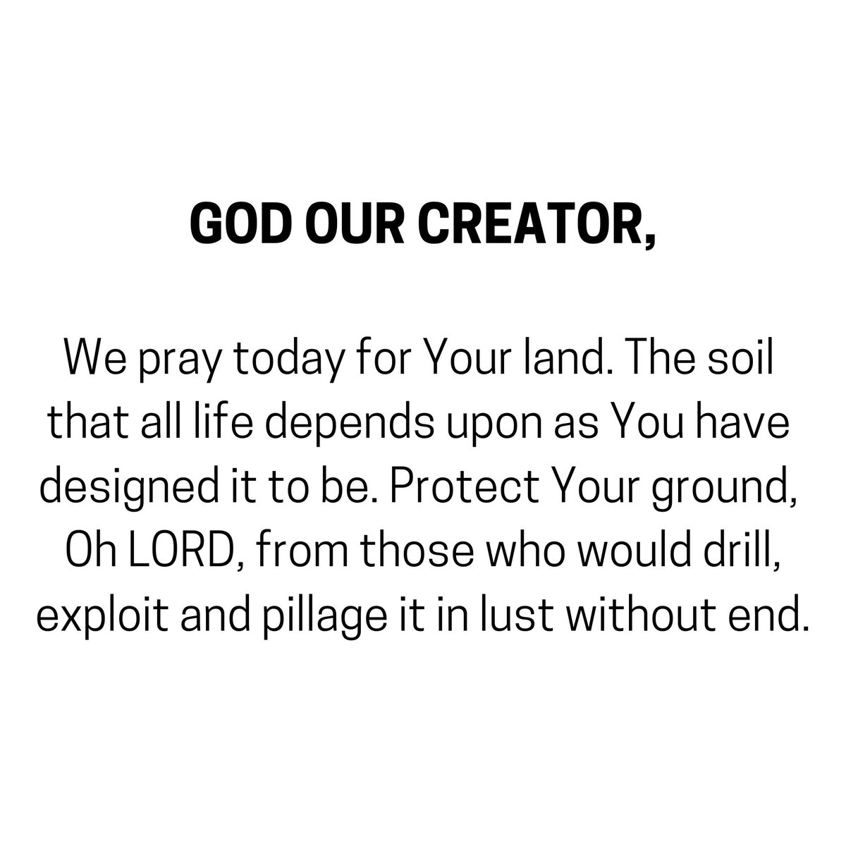 Caleb Cray Haynes tweet media