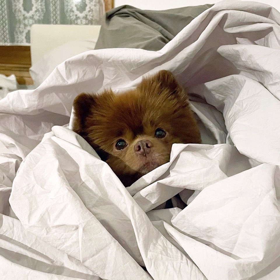 GN to the community that’s always one step ahead. 💤