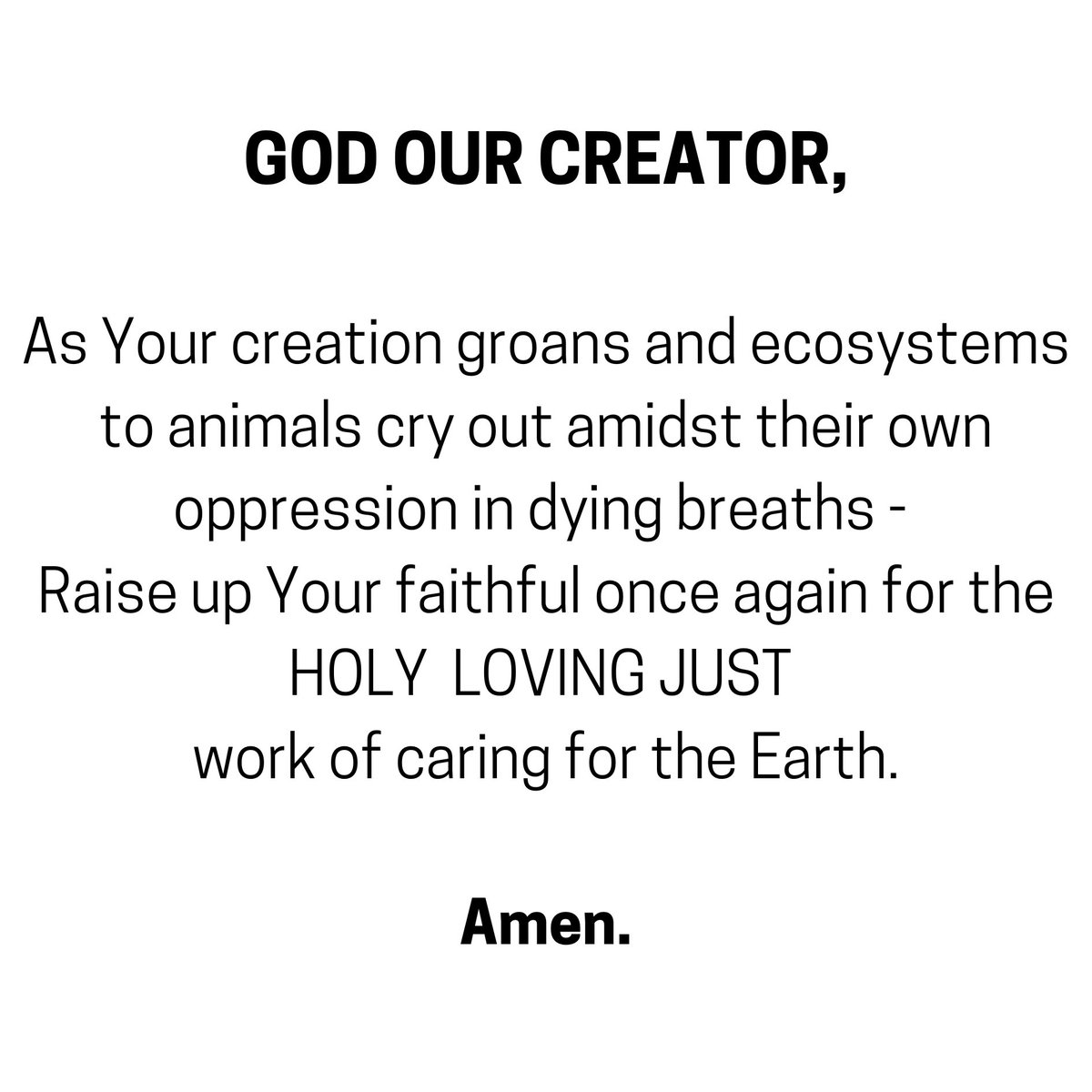 Caleb Cray Haynes tweet media