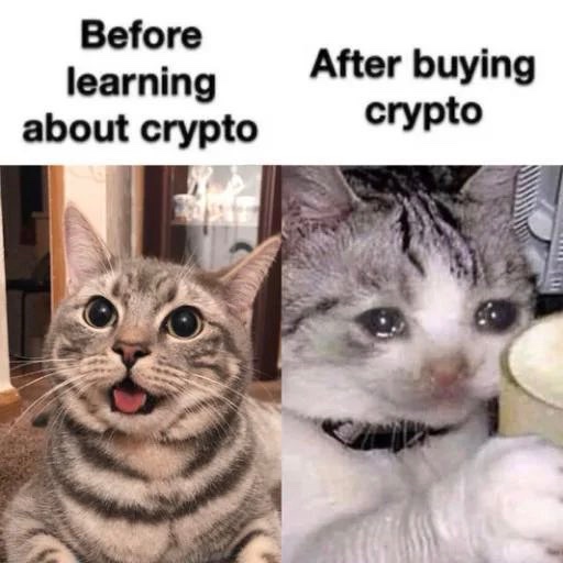 CryingCat_sol's tweet photo. @Zeneca It’s honest work.

- $Crying Cat

Ca:
2ZHYWGndLx76H7NCN4ieMRHSRAAiiWEtJFpHmmXYmE6Z https://t.co/ncZyS5YFqu
