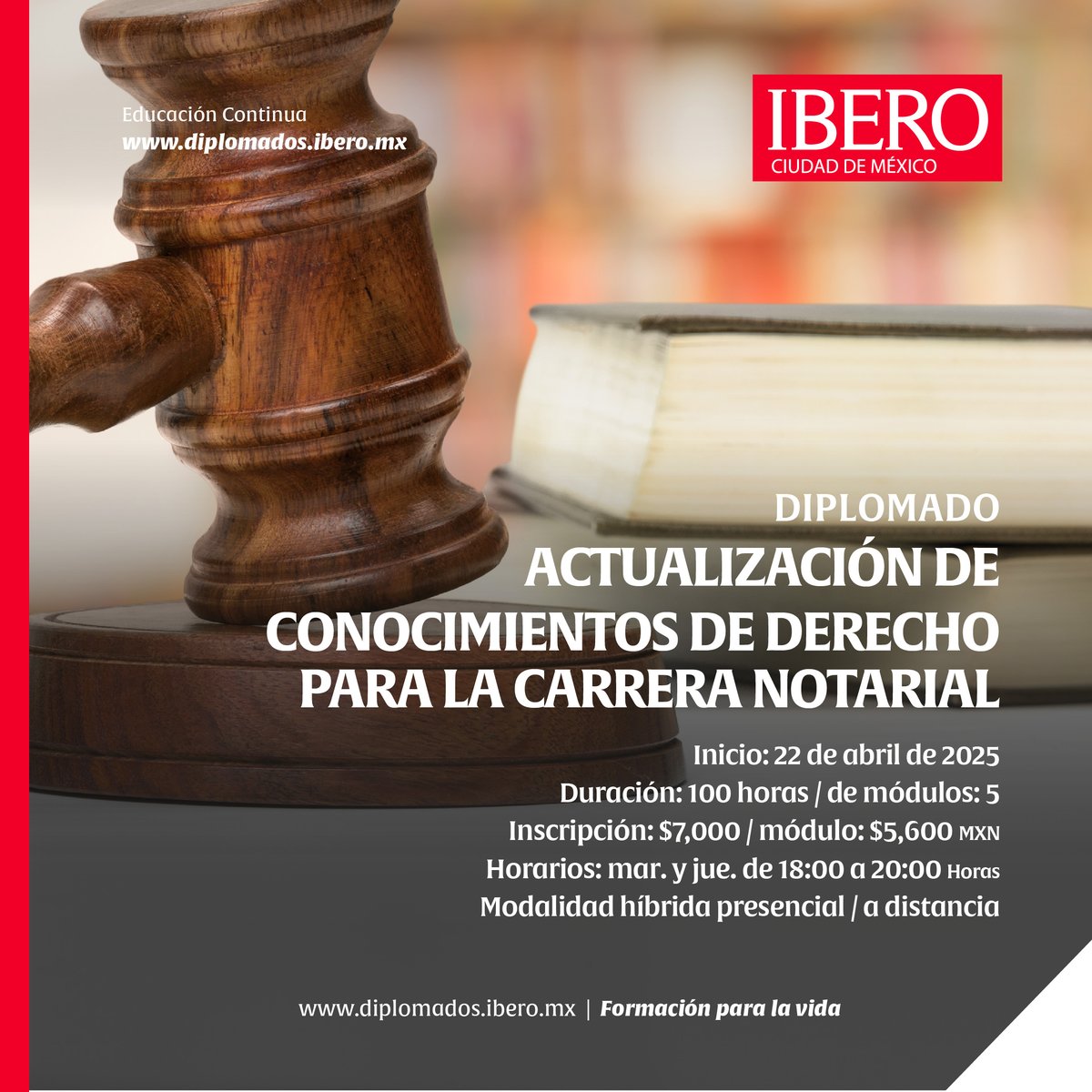 Instituto Investigaciones Jurídicas del Notariado tweet media